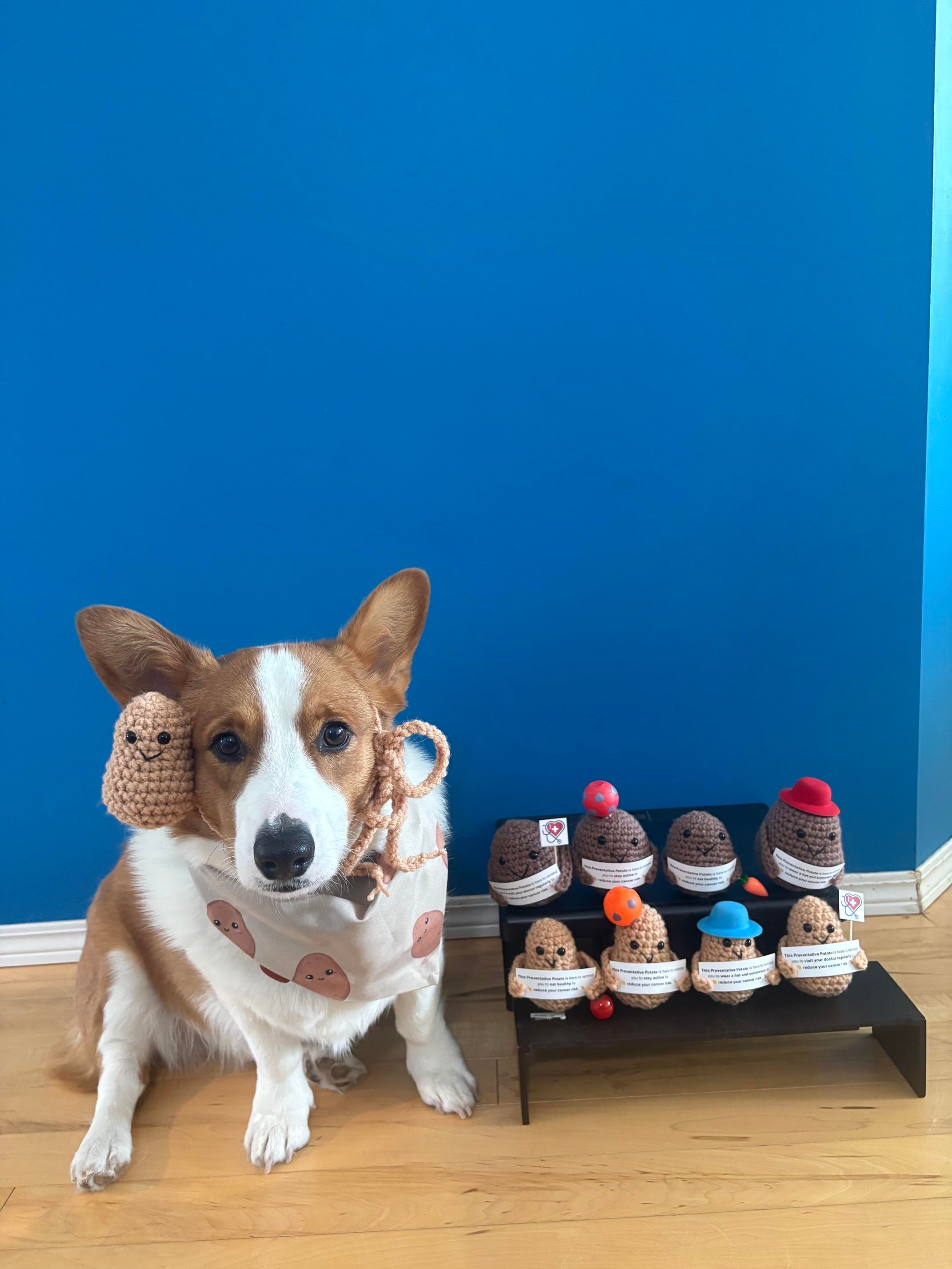 The dog and potatoes